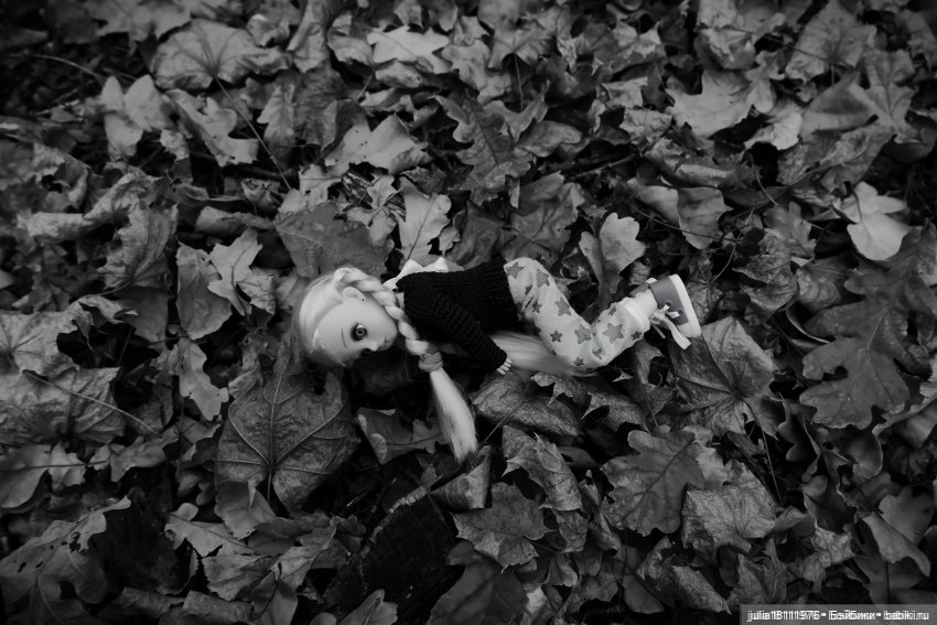 Дом кукол Лавандовый сон. 2025. Итоги