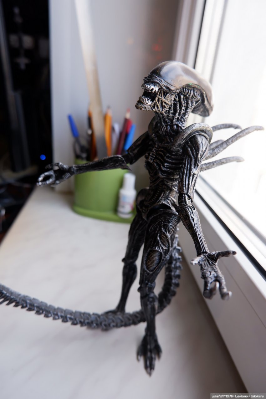 Дом кукол Лавандовый сон. 2025. Итоги