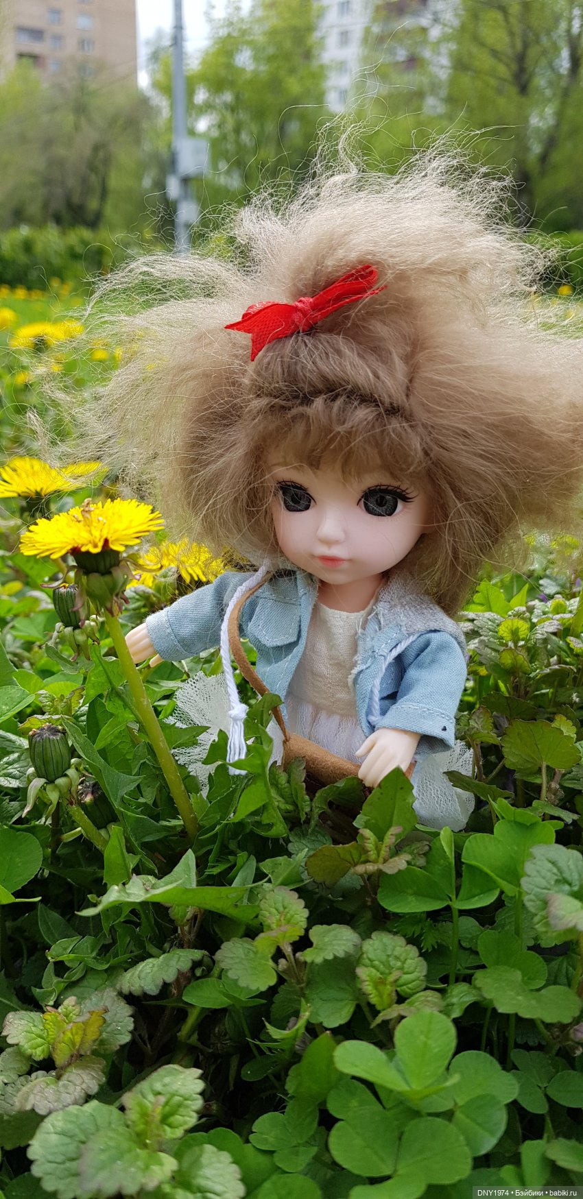 Сегодня всемирный день одуванчика (фото 2)