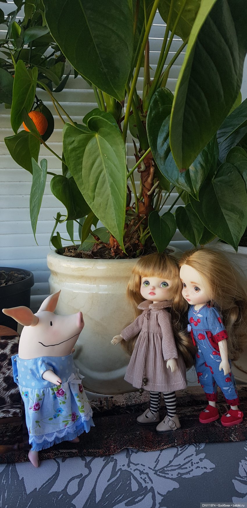 Любимая тетушка уезжает. Но обещает вернуться (фото 6)