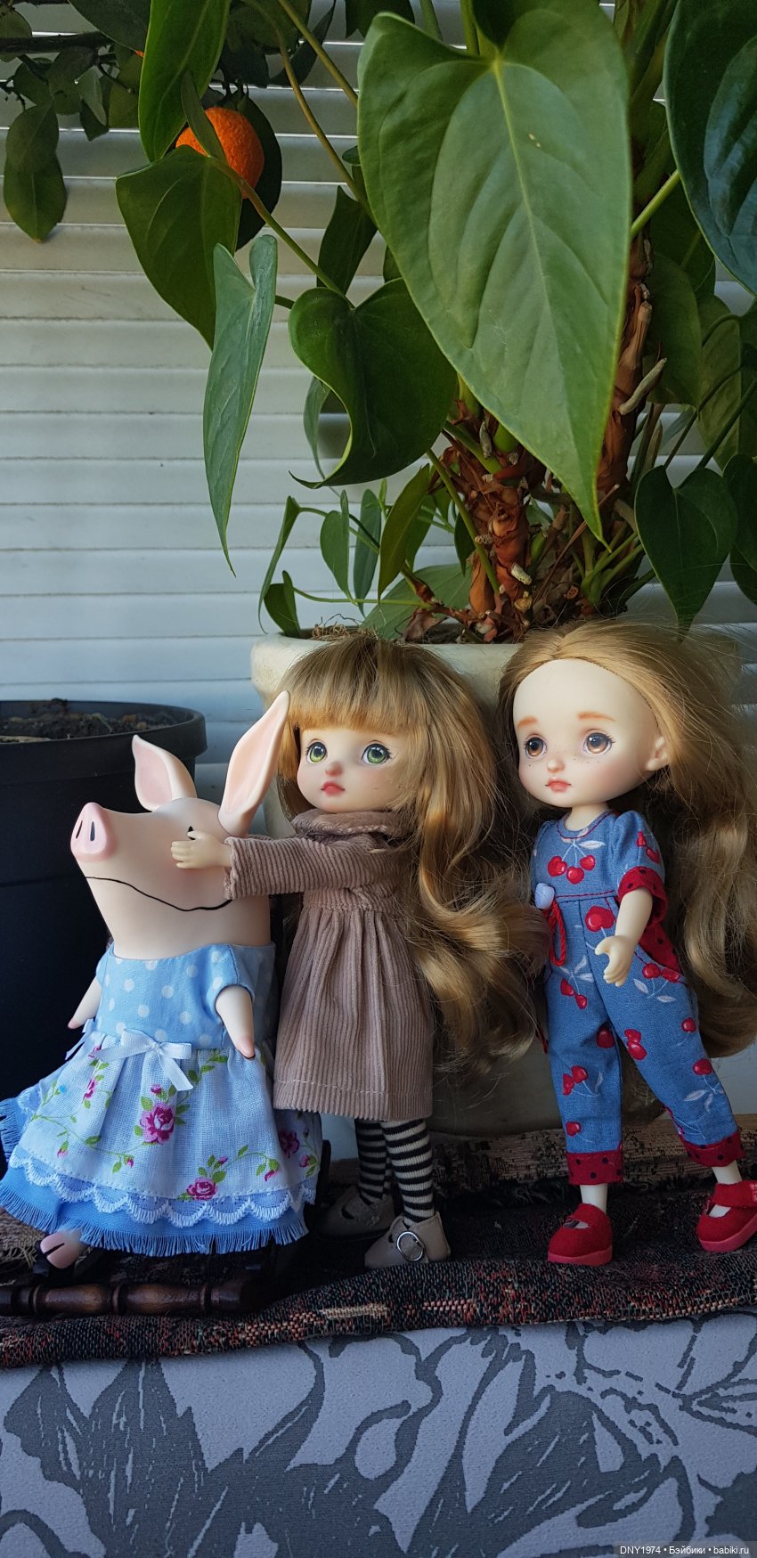 Любимая тетушка уезжает. Но обещает вернуться (фото 5)