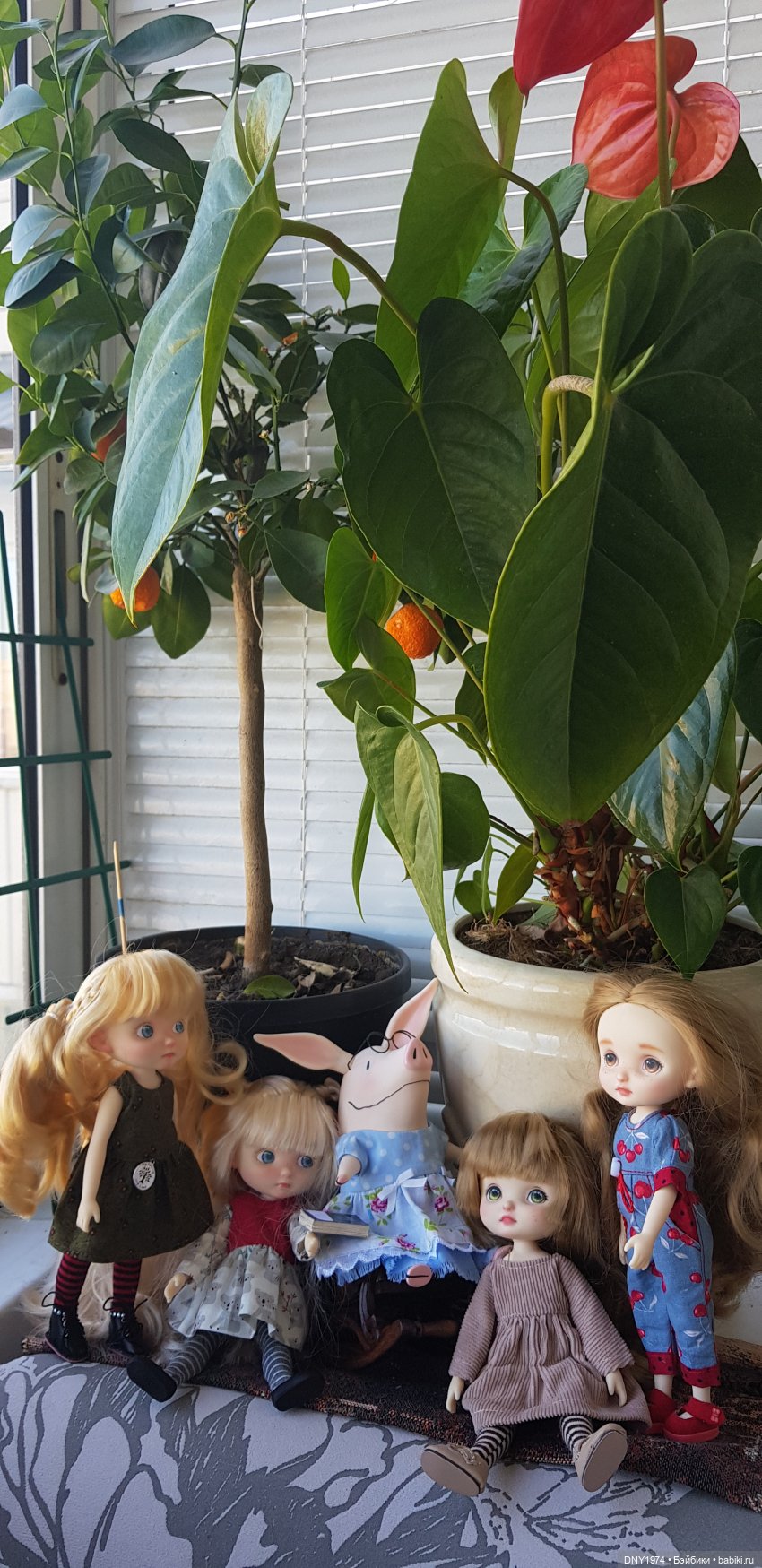 Любимая тетушка уезжает. Но обещает вернуться (фото 9)