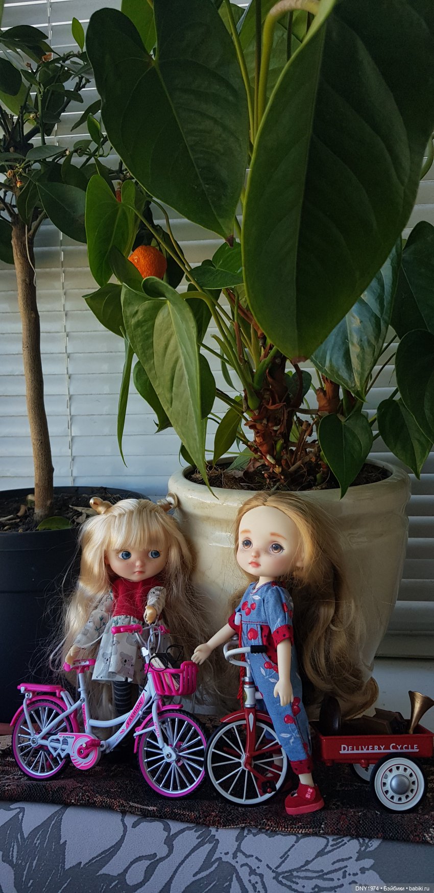 Любимая тетушка уезжает. Но обещает вернуться (фото 10)