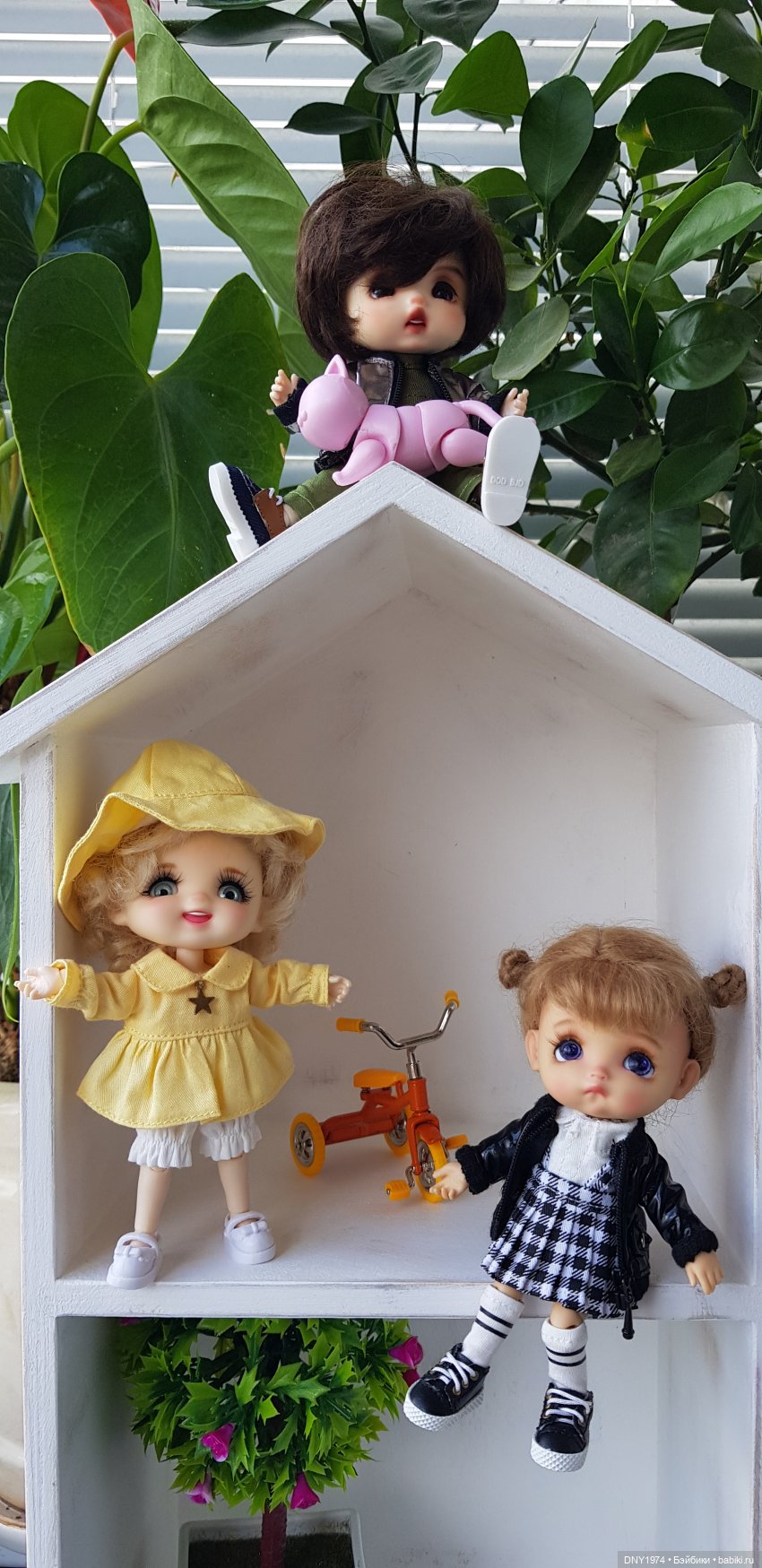 Немного из жизни малышей Stodoll (фото 2)