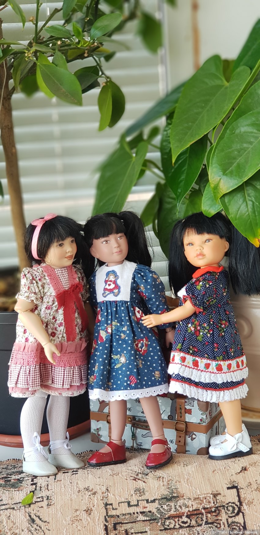 Мои новенькие хотят показаться (фото 8)