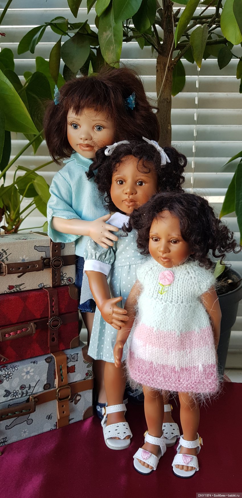 Мои новенькие хотят показаться (фото 4)