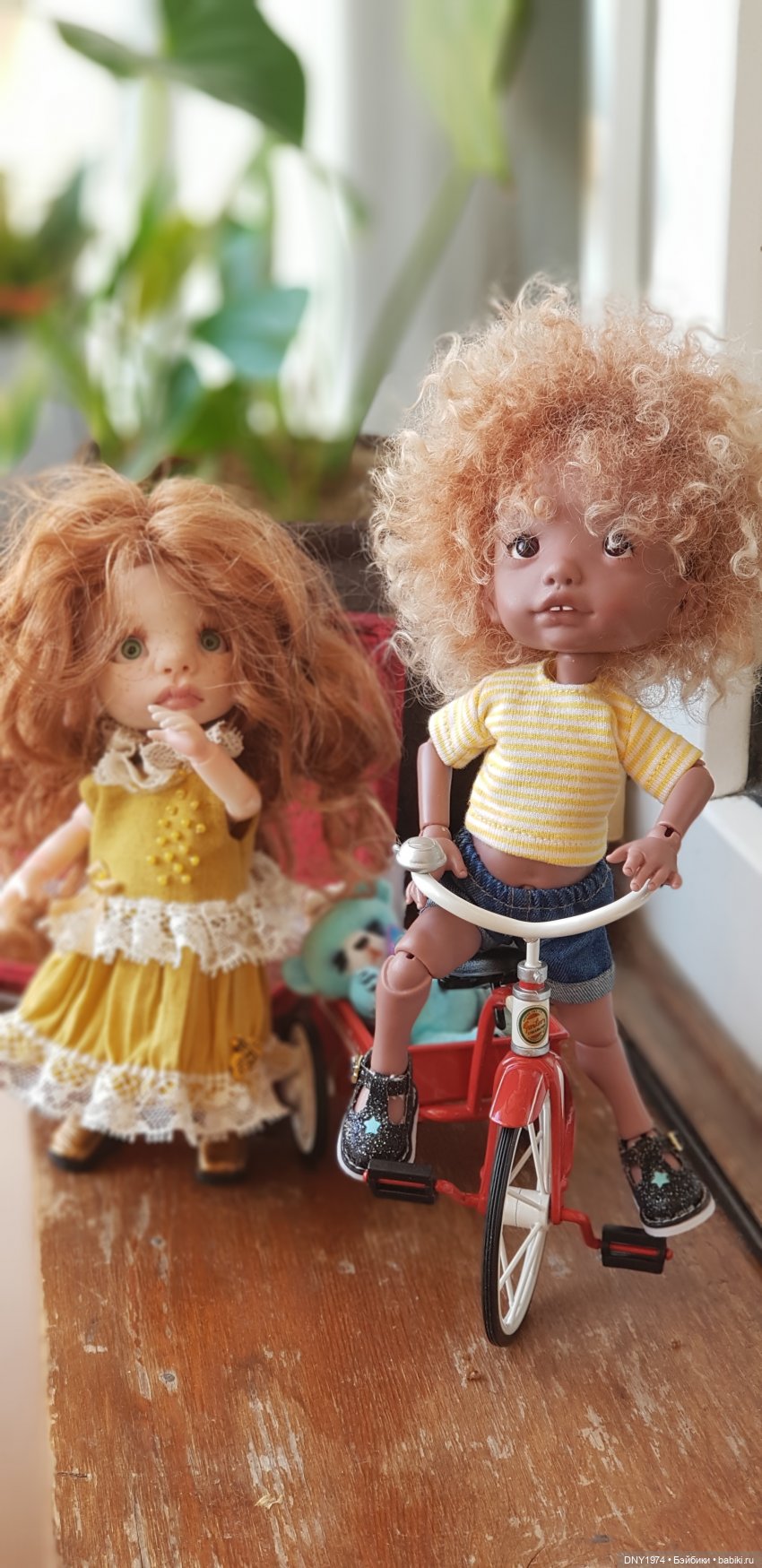 Мои рыжики — Болталка и разговоры обо всем: жизнь (фото 9)