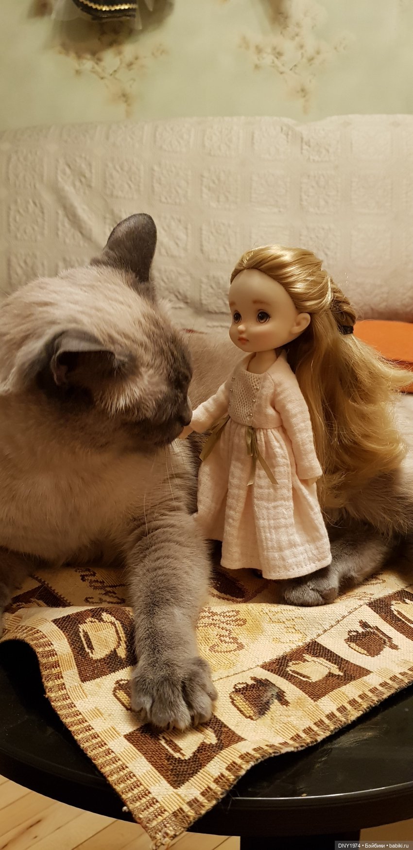 Подведение итогов 2021 — Домашние коллекции кукол: фото собраний (фото 3)