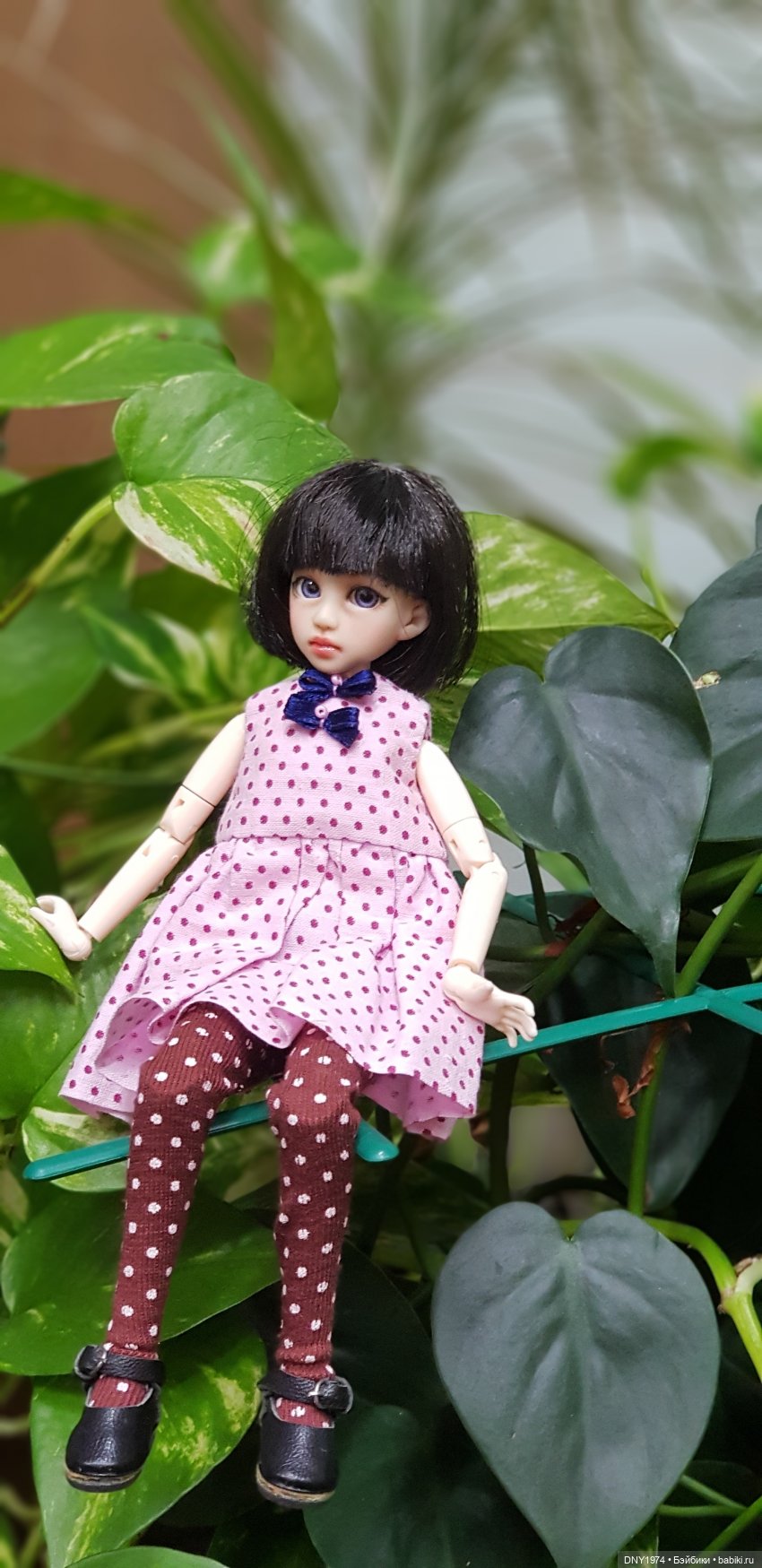 Мой план в действии: приехала Нано Харука (фото 7)