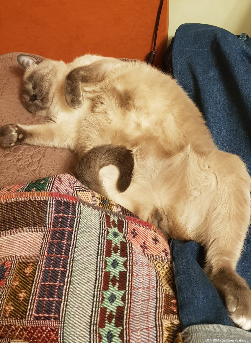 Четыре девицы соскучились