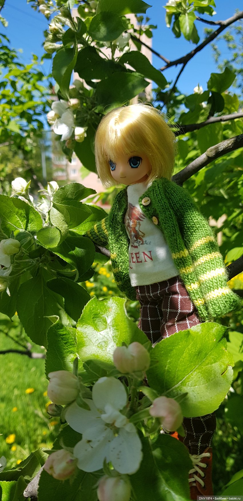 Новости из жизни моих анимешек (фото 3)