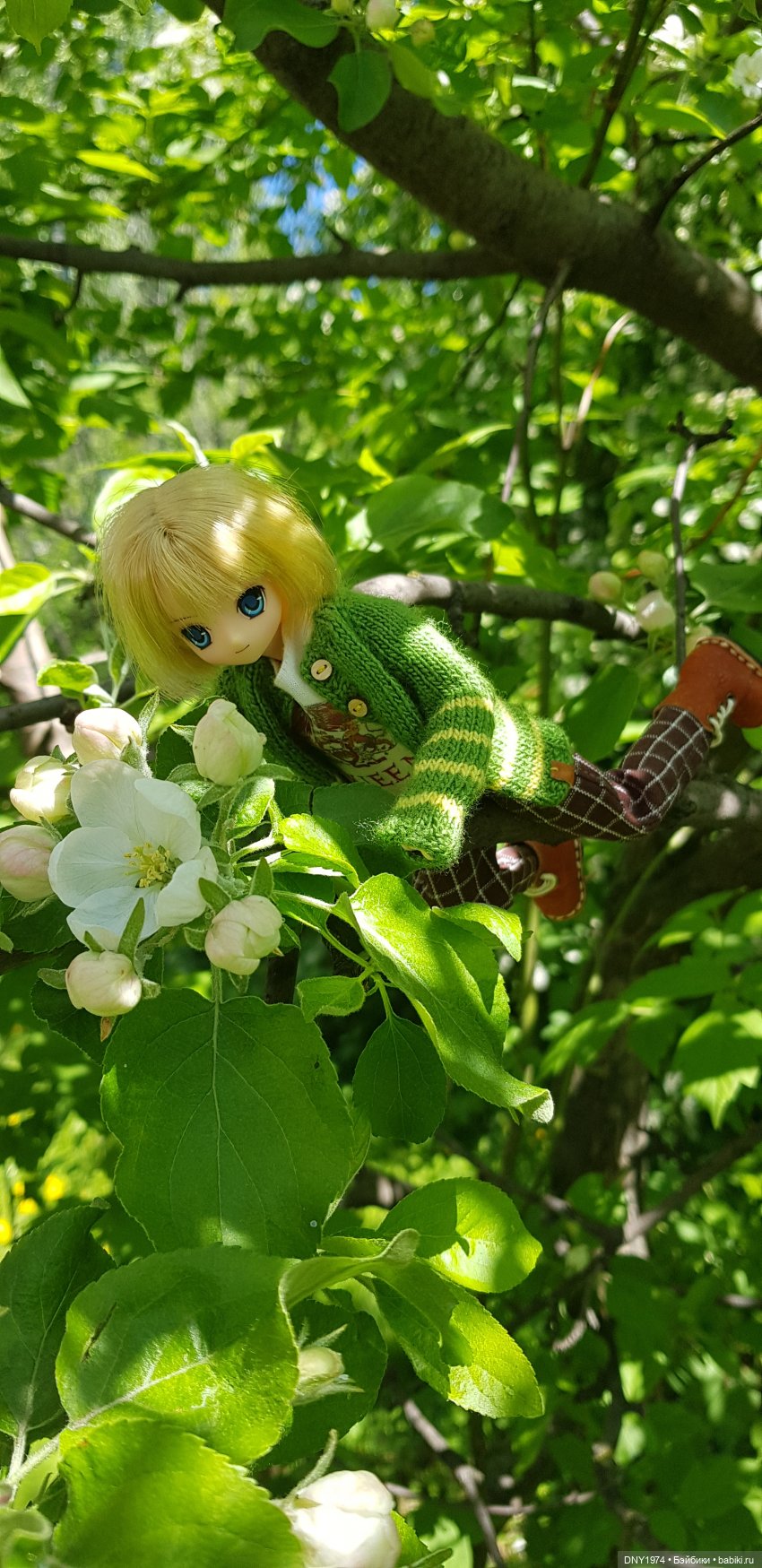 Новости из жизни моих анимешек (фото 4)