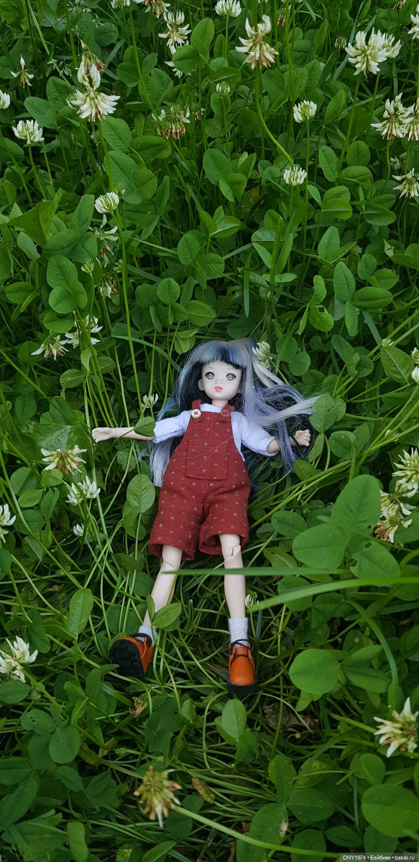 Половинчатая прогулка рурушки Шимо