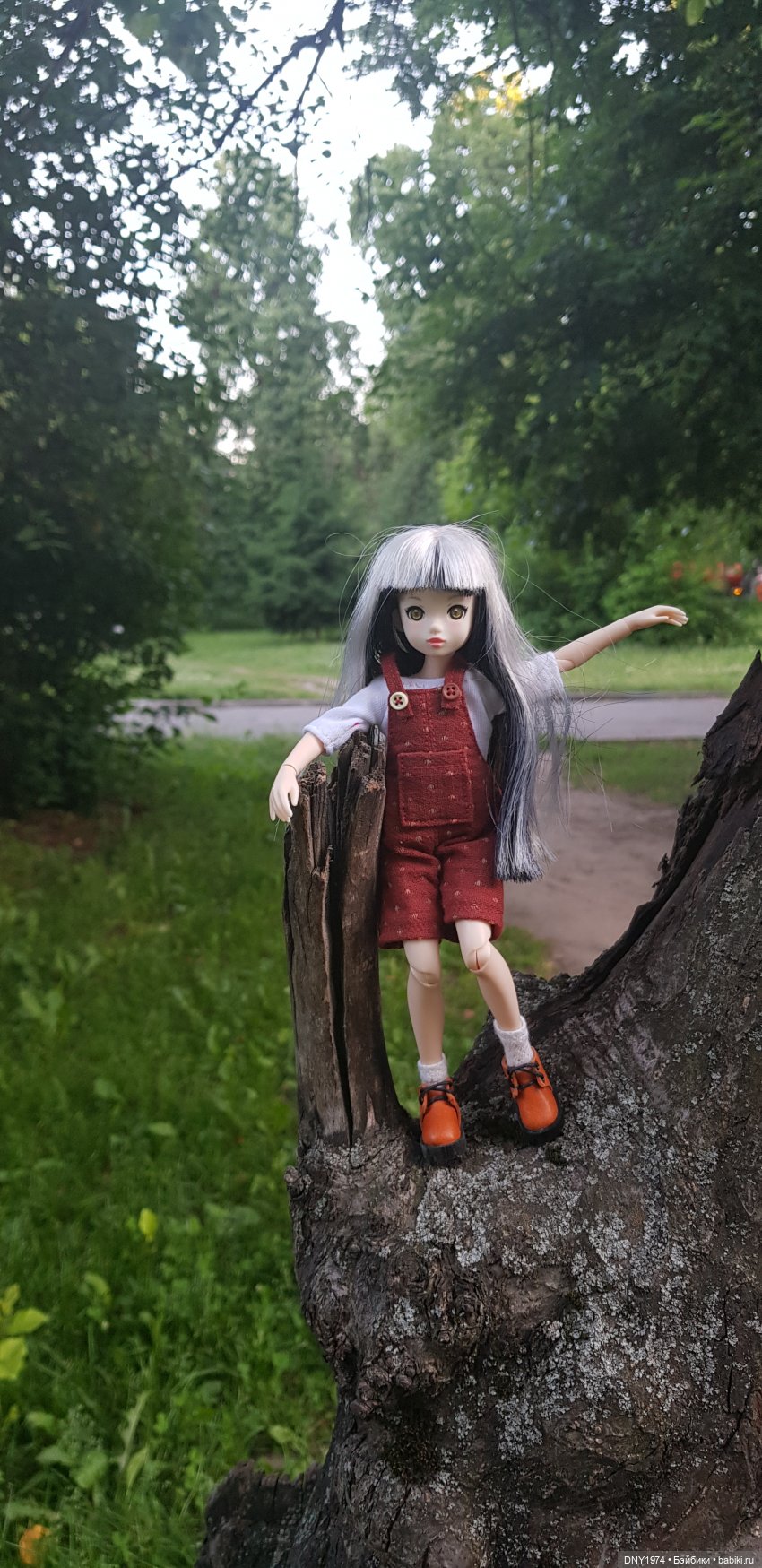 Половинчатая прогулка рурушки Шимо (фото 5)