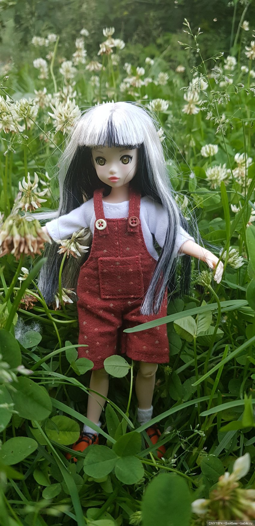 Половинчатая прогулка рурушки Шимо (фото 2)