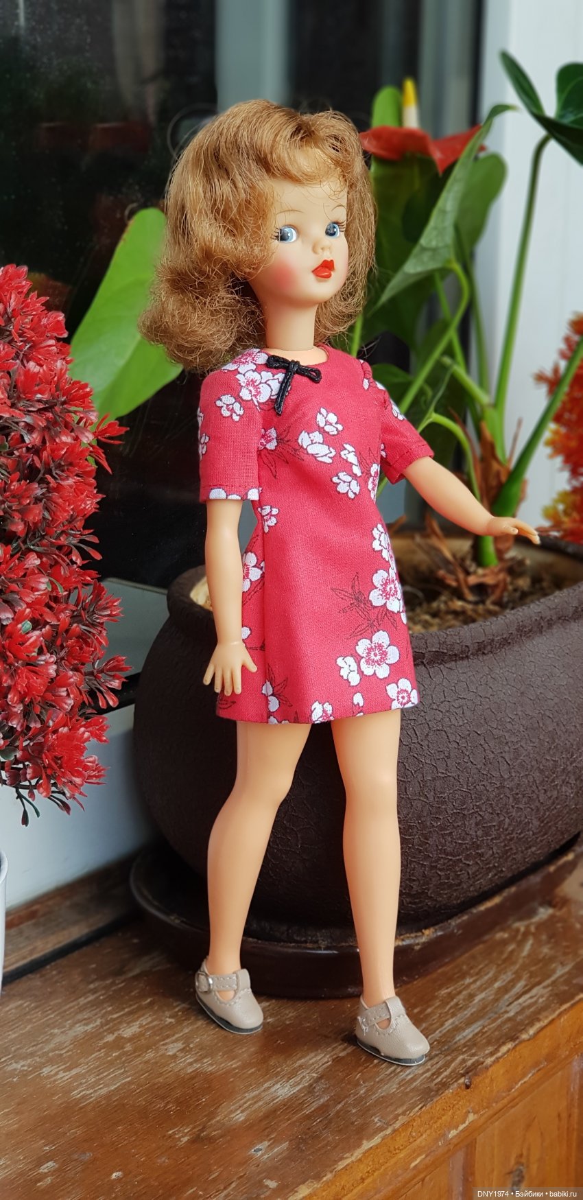 Моя первая Тамми — Куклы Sindy (Синди) и Tammy (Тамми): винтаж (фото 2)