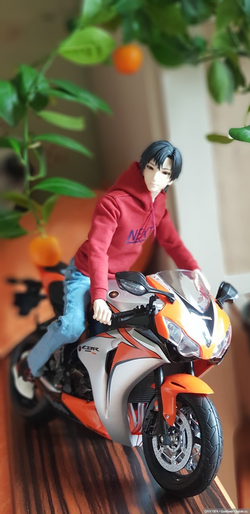 Мой личный Аватар Короля | Бэйбики Мой личный Аватар Короля — Коллекционные экшн (фото 2)