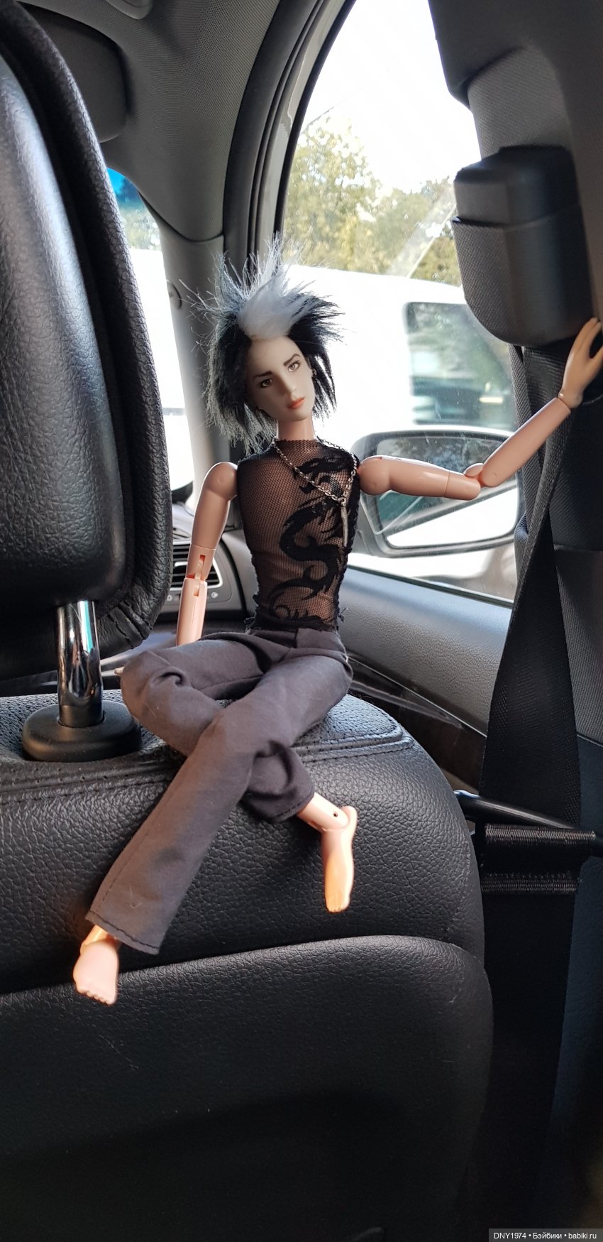 Новенькие, пришли показаться (фото 7)