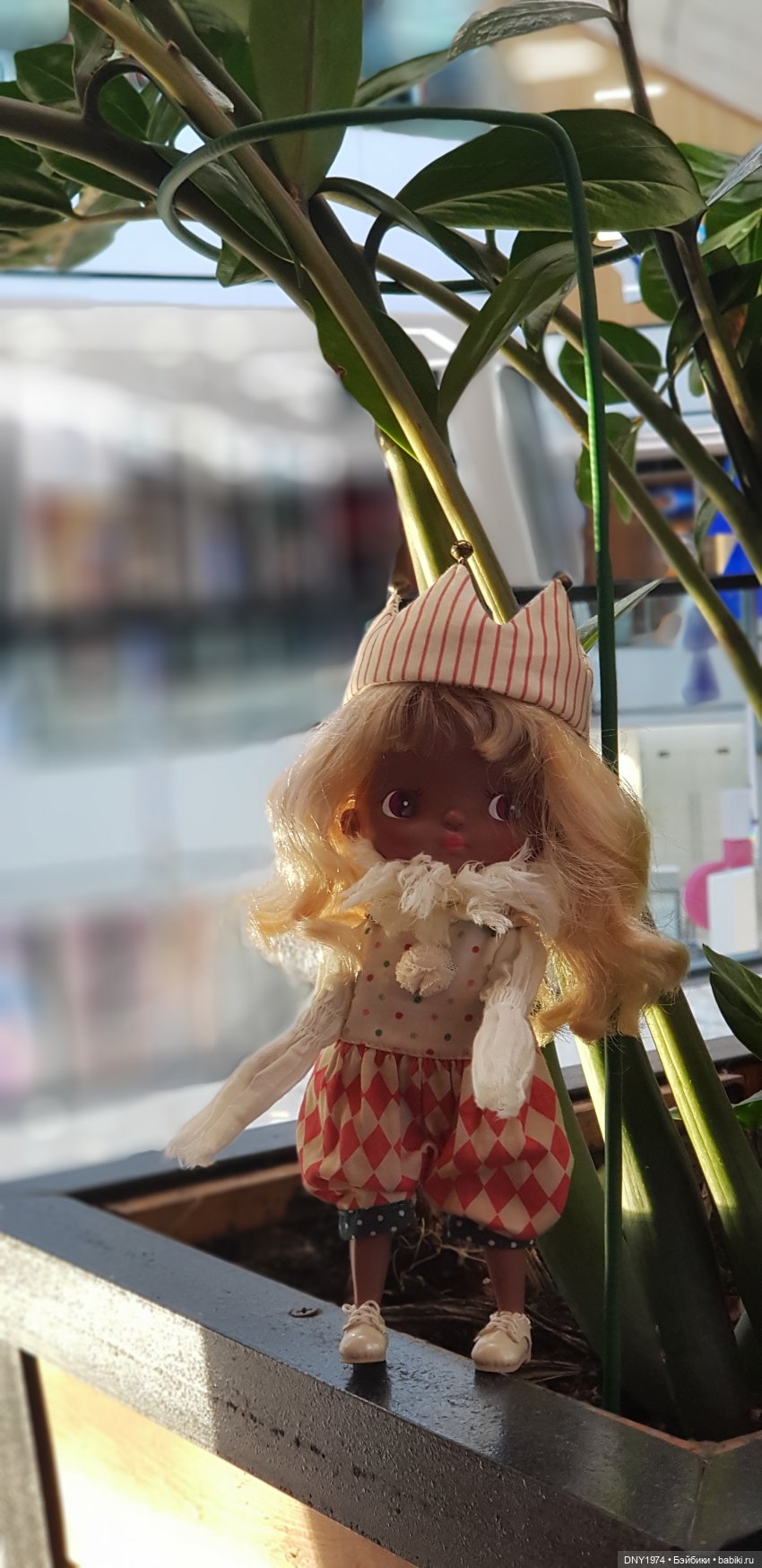 Холала Саванна на прогулке