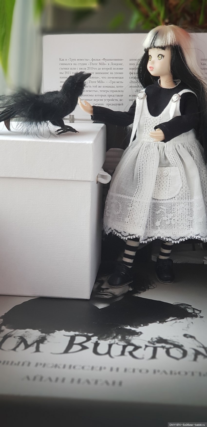 И совсем не страшно — Аниме куклы (MJD/Винил): Imomo (фото 7)