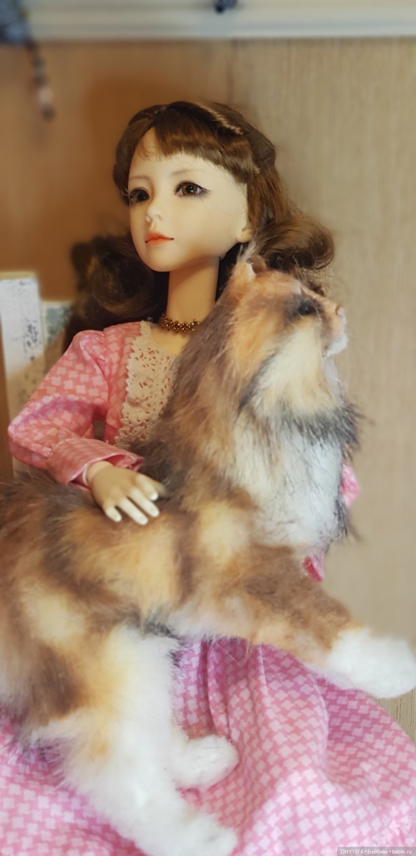 Просто новое платье — Куклы Bimong (Бимонг): Narae (Нарае) (фото 4)