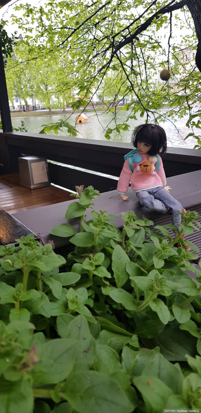 Харукин первомай — Куклы и тела Obitsu (Обитсу): 1/6 (фото 5)