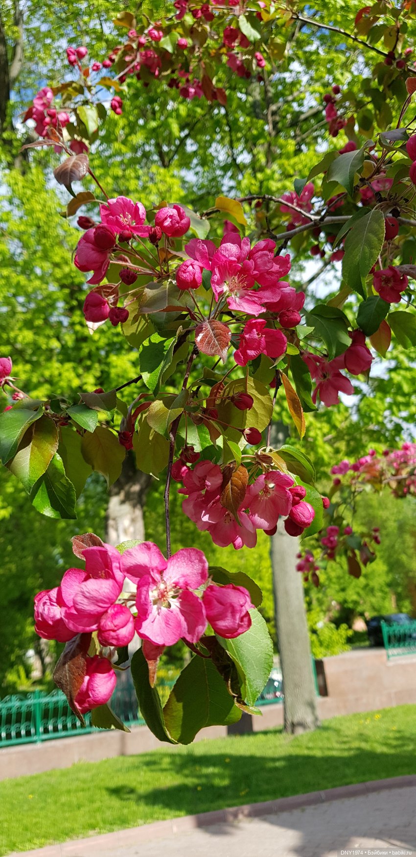 Подросток и цветочки — Разные шарнирные куклы (не БЖД): редкие (фото 8)