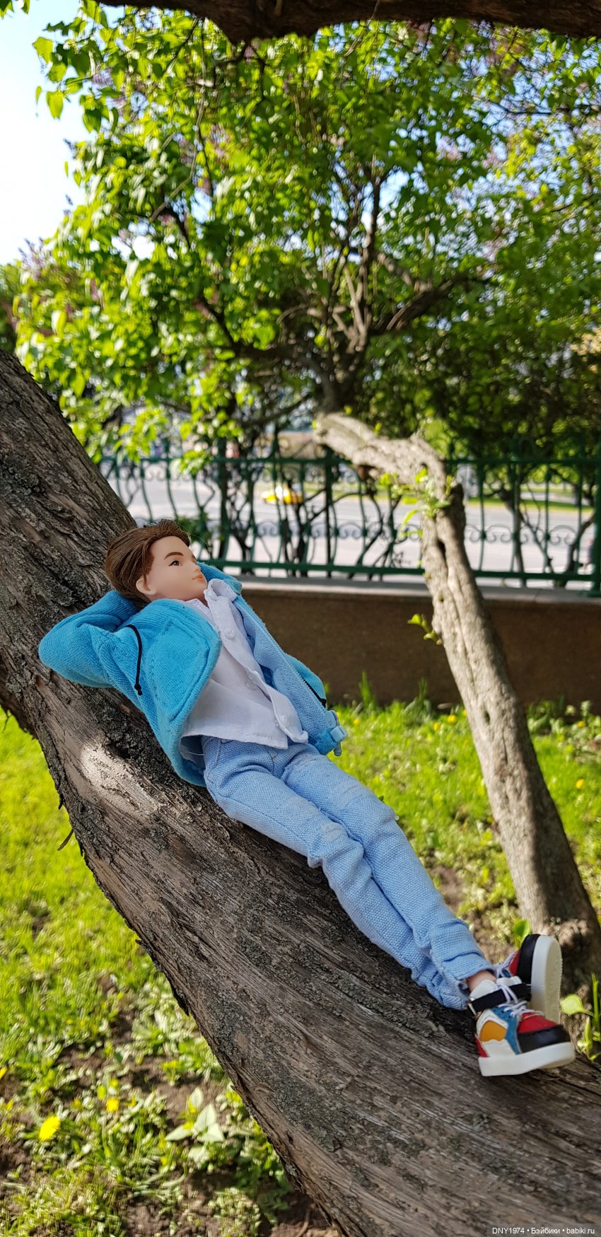 Подросток и цветочки — Разные шарнирные куклы (не БЖД): редкие