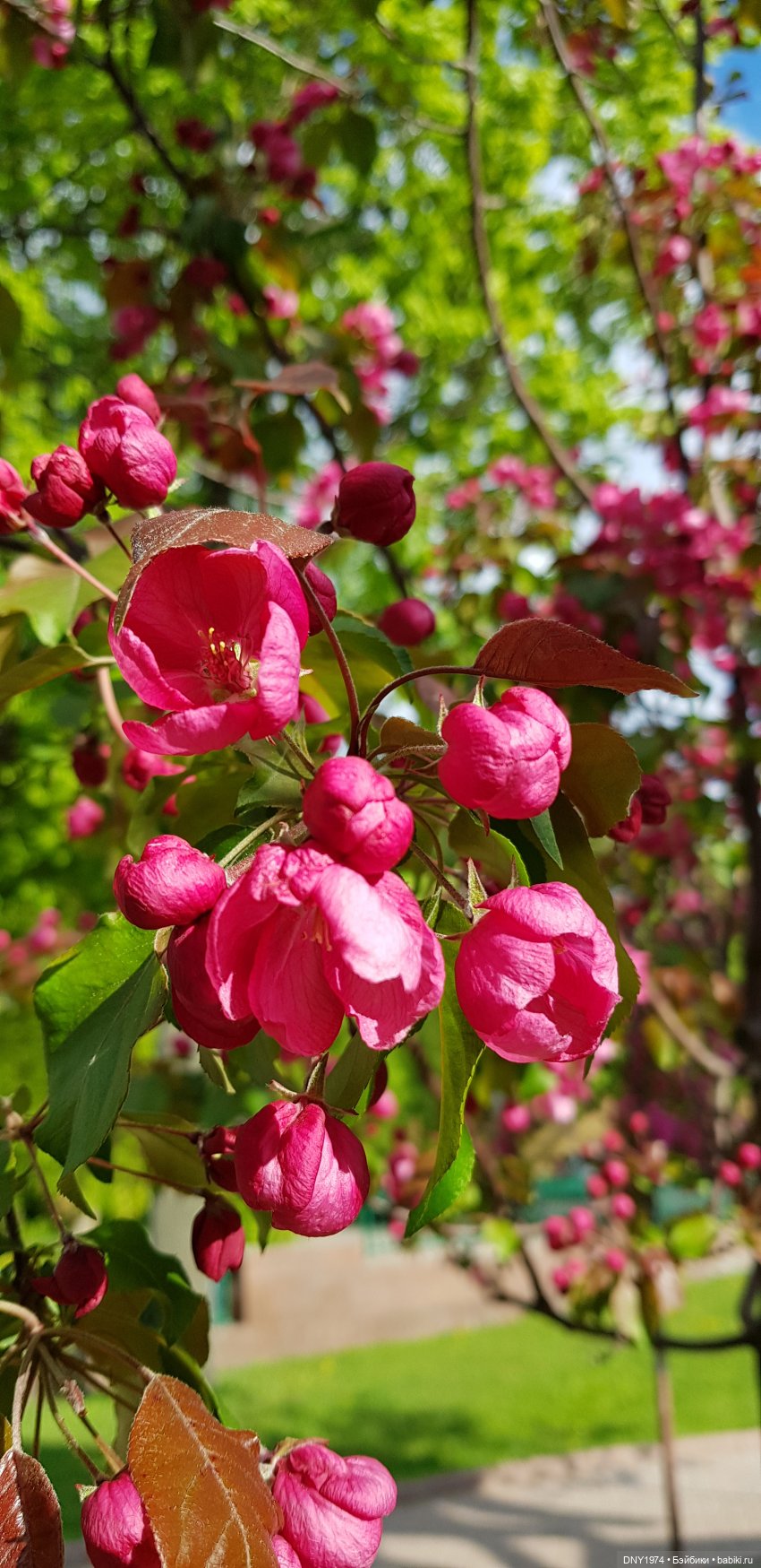 Подросток и цветочки — Разные шарнирные куклы (не БЖД): редкие (фото 9)