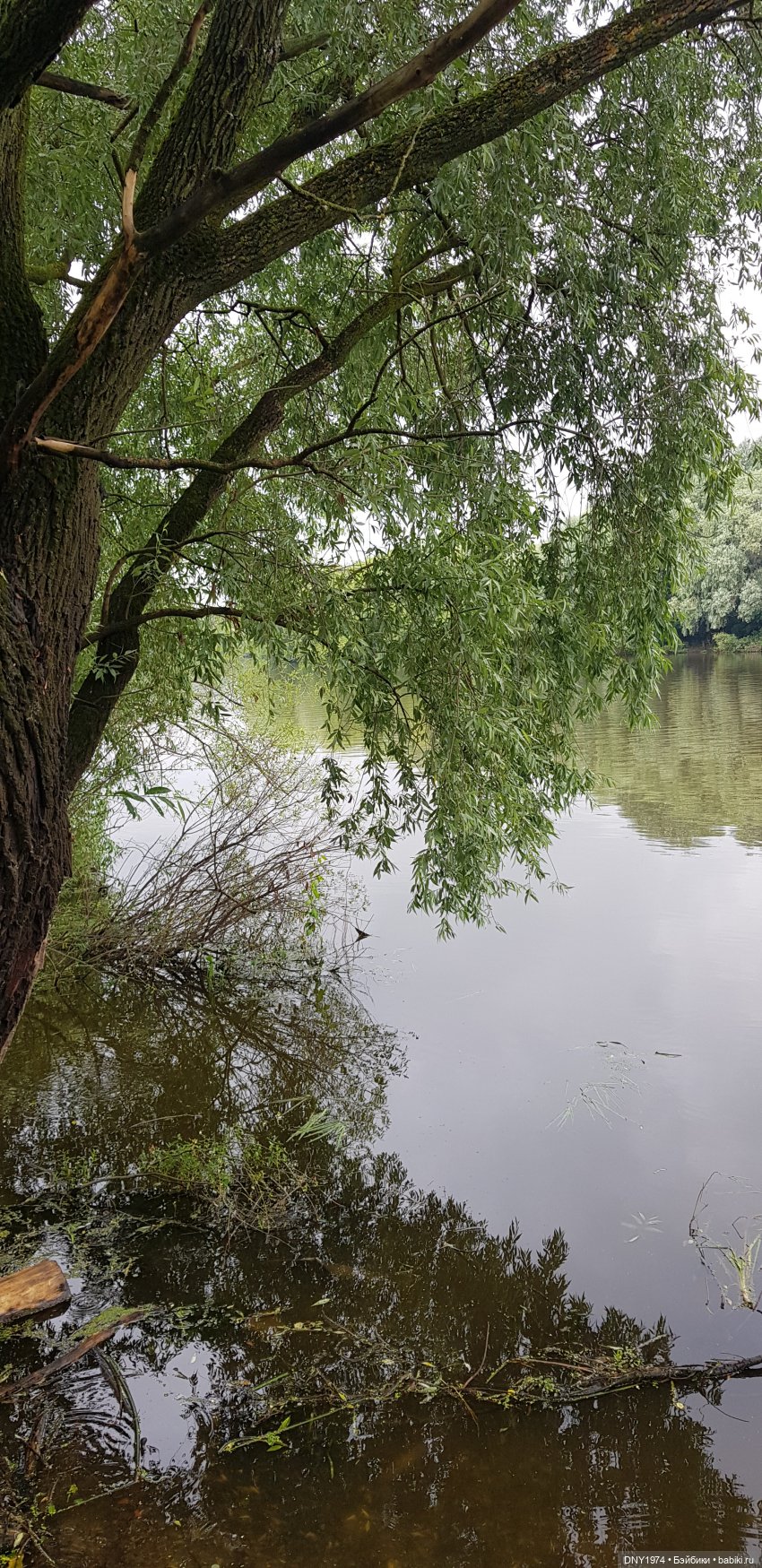 Анна в Коломне. После катаклизма (фото 5)