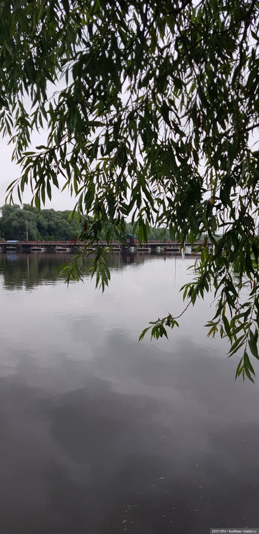 Анна в Коломне. После катаклизма (фото 3)