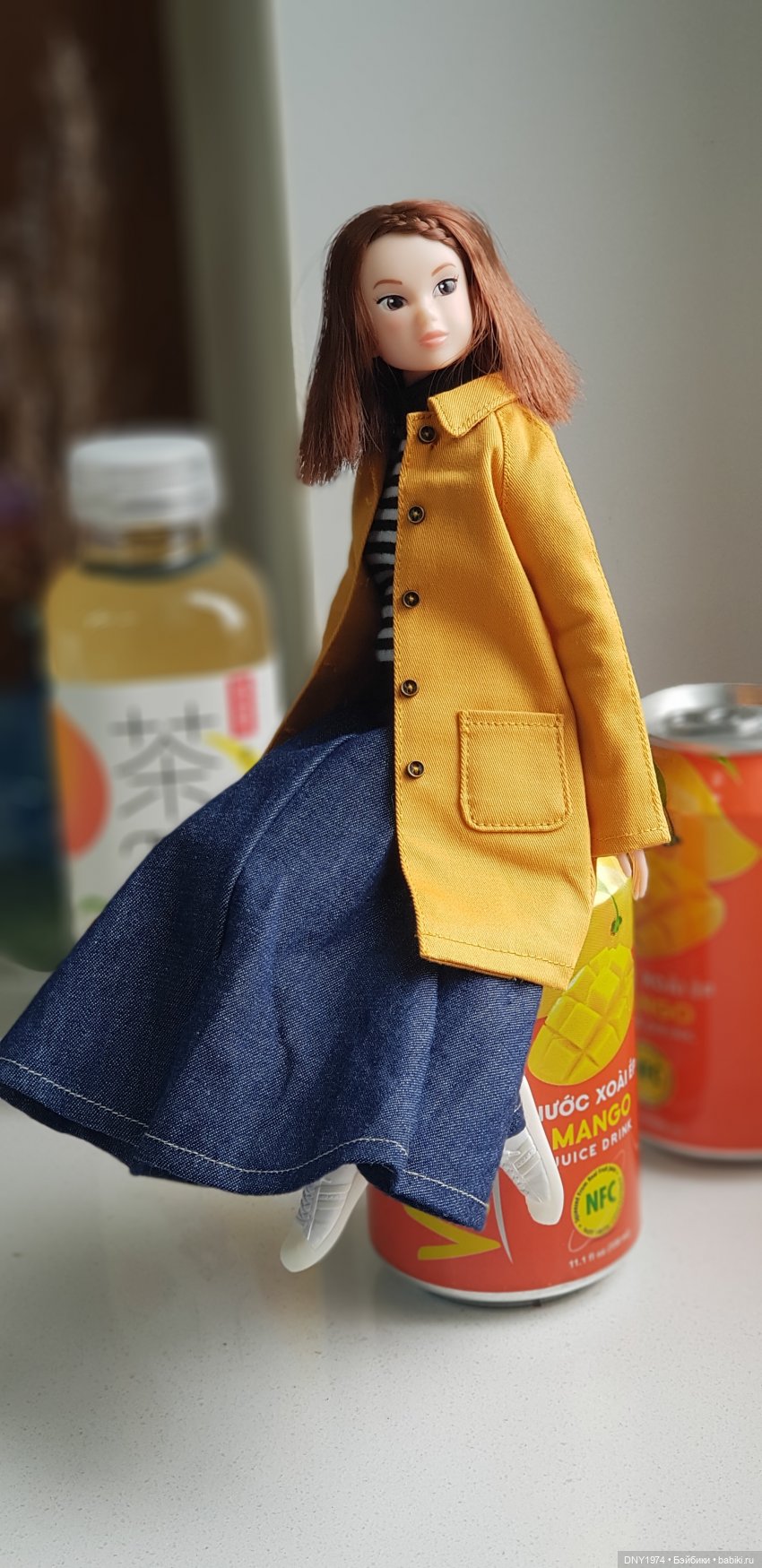 Мимоза, пополнение — Куклы Momoko и Ruruko (Petworks (фото 4)