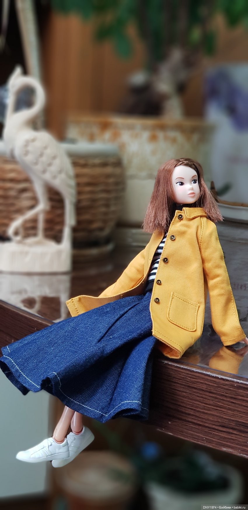 Мимоза, пополнение — Куклы Momoko и Ruruko (Petworks (фото 5)