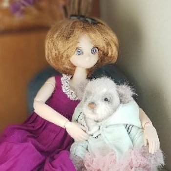 Мои девушки Обитсу