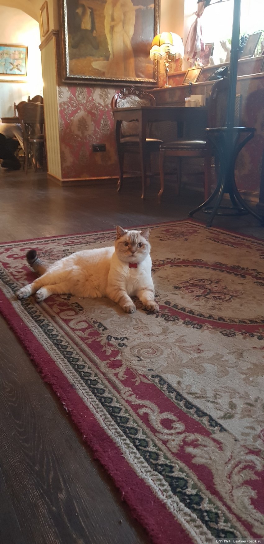 Тихиро в Питере. Ч.3 — Туризм и путешествия: фотоотчеты из поездок