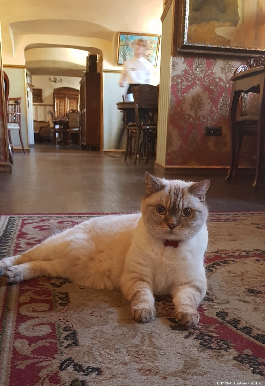 Тихиро в Питере. Ч.3 — Туризм и путешествия: фотоотчеты из поездок