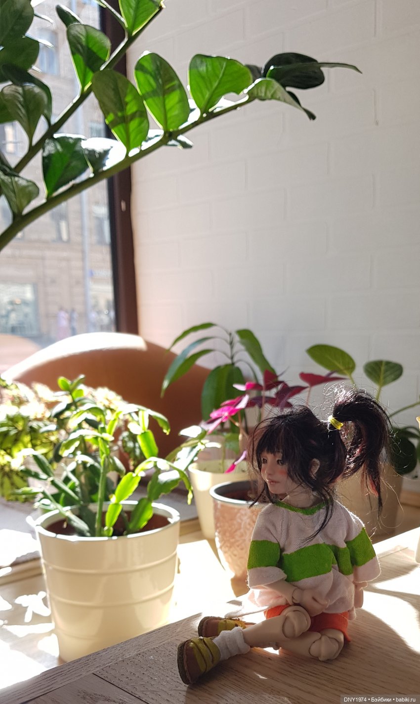 Тихиро в Питере. Ч.3 — Туризм и путешествия: фотоотчеты из поездок