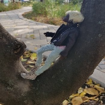 Анна вышла погулять