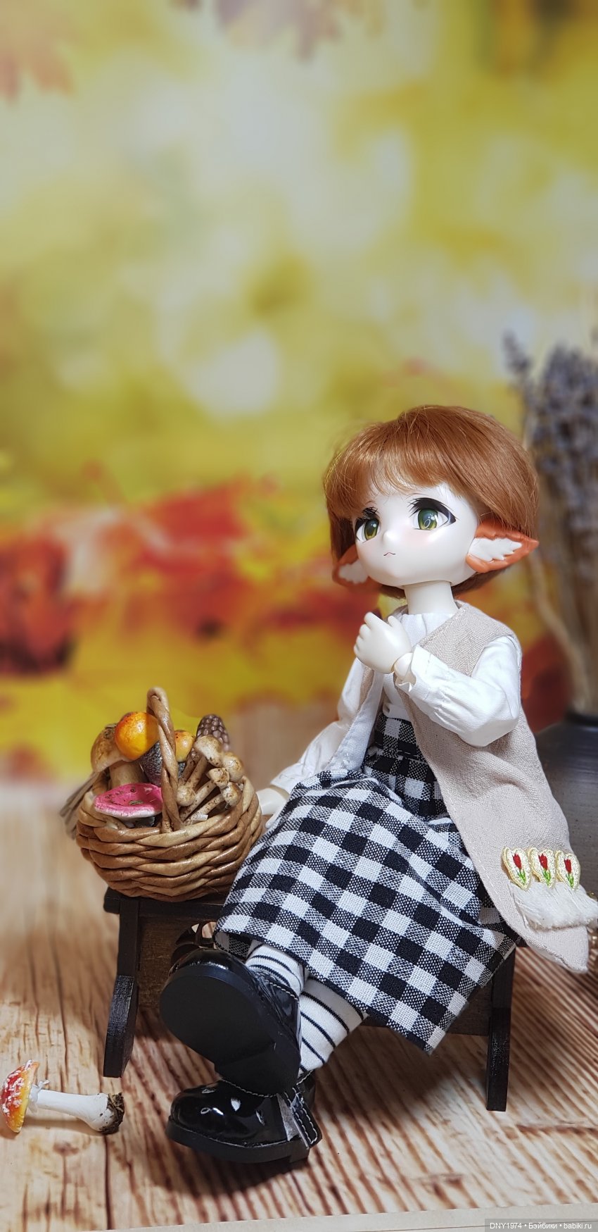 Одна маленькая пухлая лисичка (фото 6)