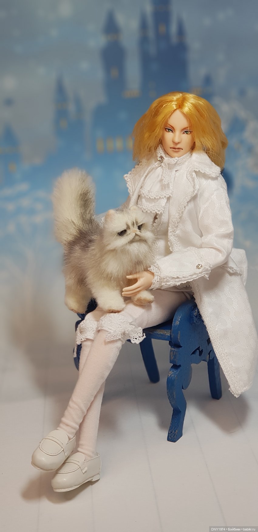 Настоящий принц — Куклы и тела Obitsu (Обитсу): 1/6 (фото 3)