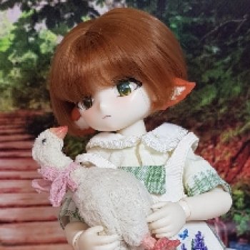 Лисы, совы и гусь