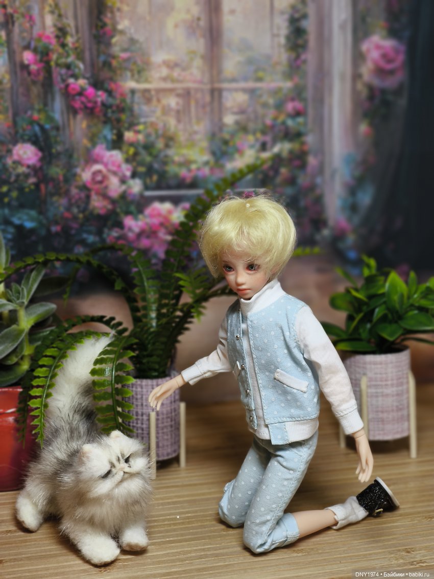 Наследник — Куклы и тела Obitsu (Обитсу): 1/6 (фото 2)