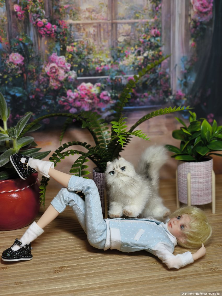 Наследник — Куклы и тела Obitsu (Обитсу): 1/6 (фото 4)