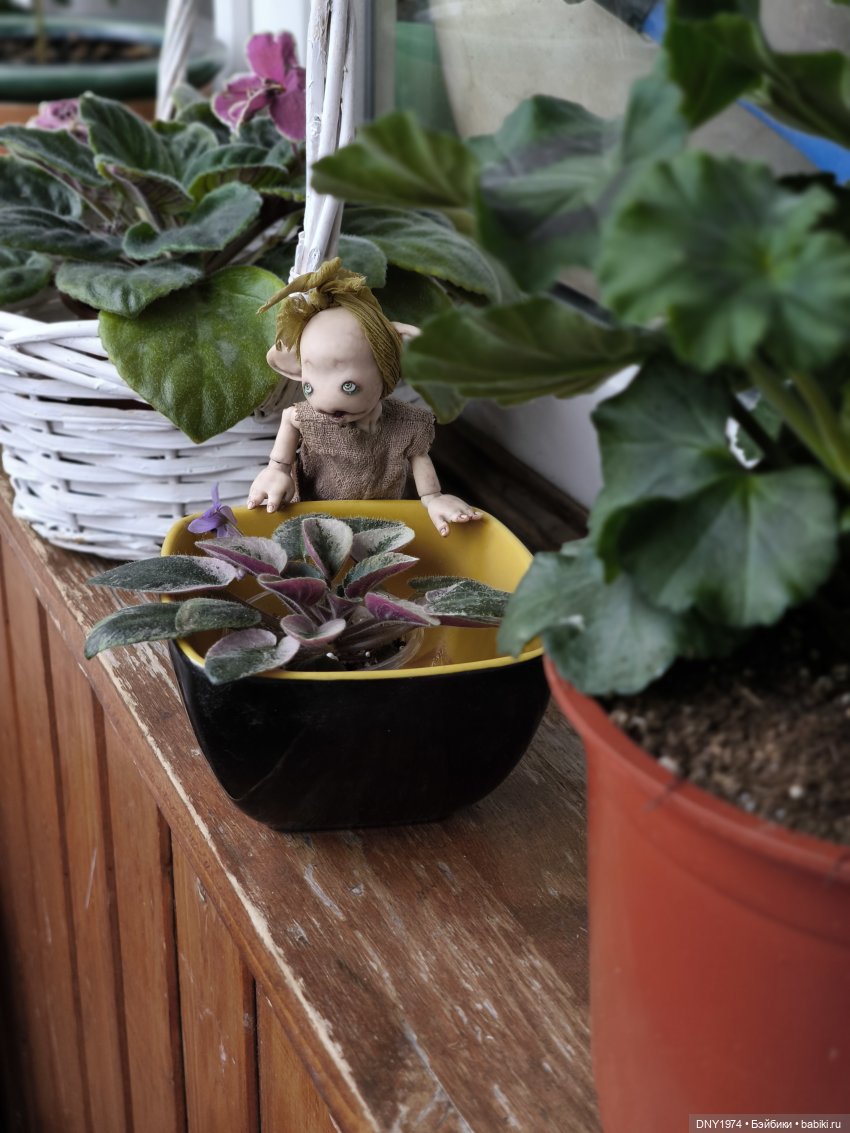 Тролль Панк заблудился в лесу (фото 6)