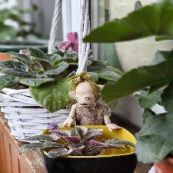 Тролль Панк заблудился в лесу