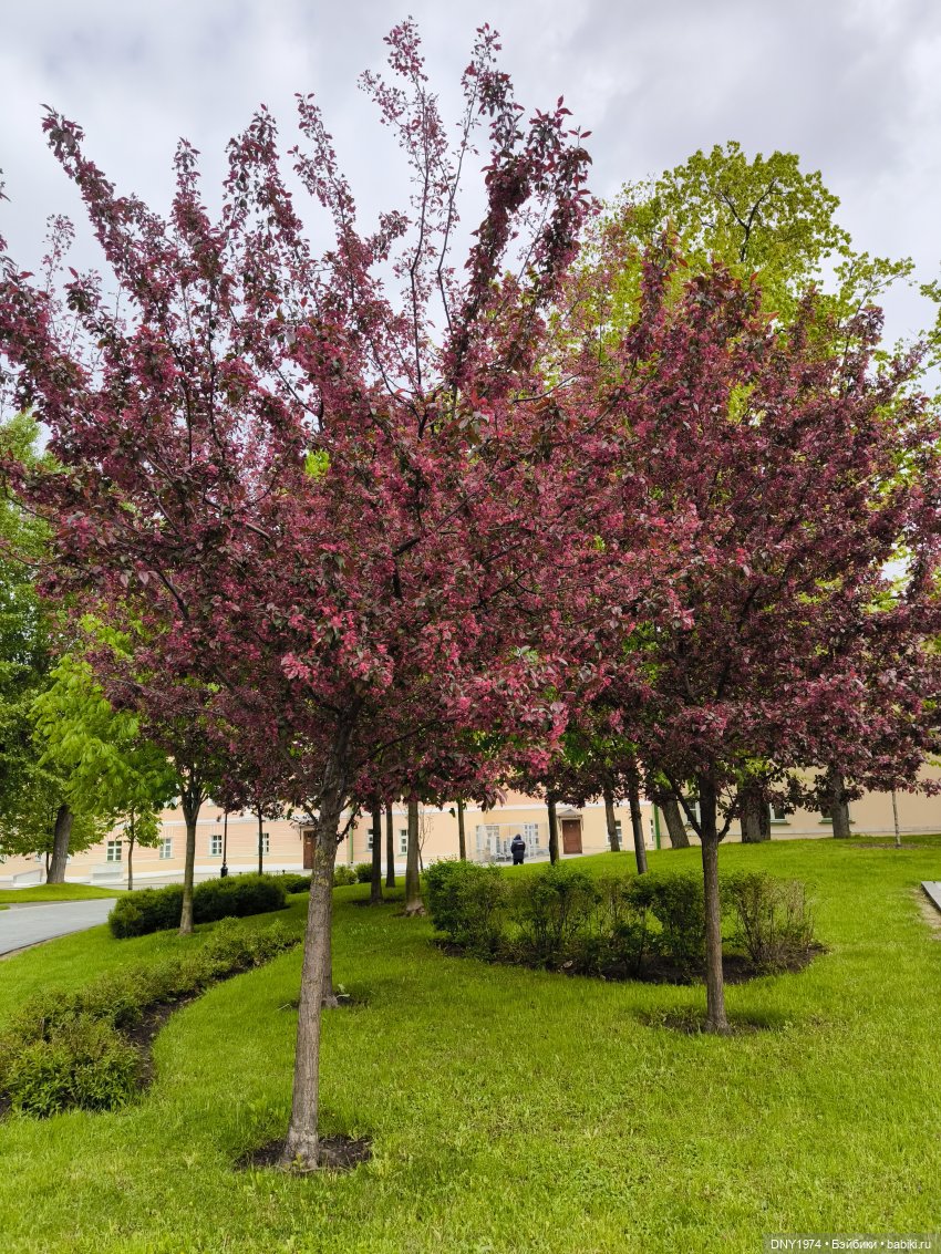 Прогулка Софи — Куклы Milim Studio (Милим): российские БЖД (фото 5)