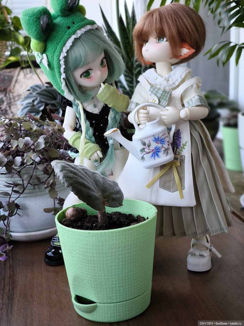 Лягушка + Лиса — Аниме куклы (MJD/Винил): Imomo (фото 8)