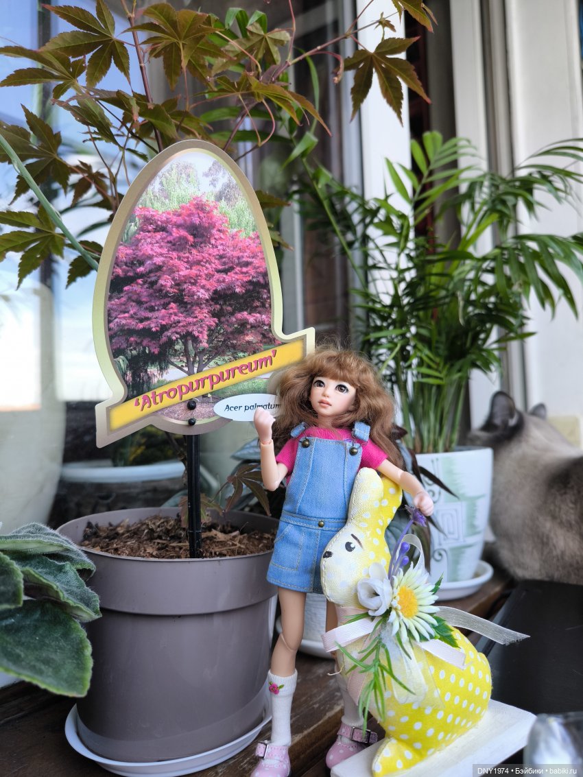 Утро начинается с котиков (фото 5)