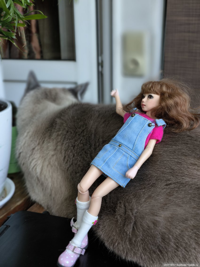 Утро начинается с котиков (фото 6)