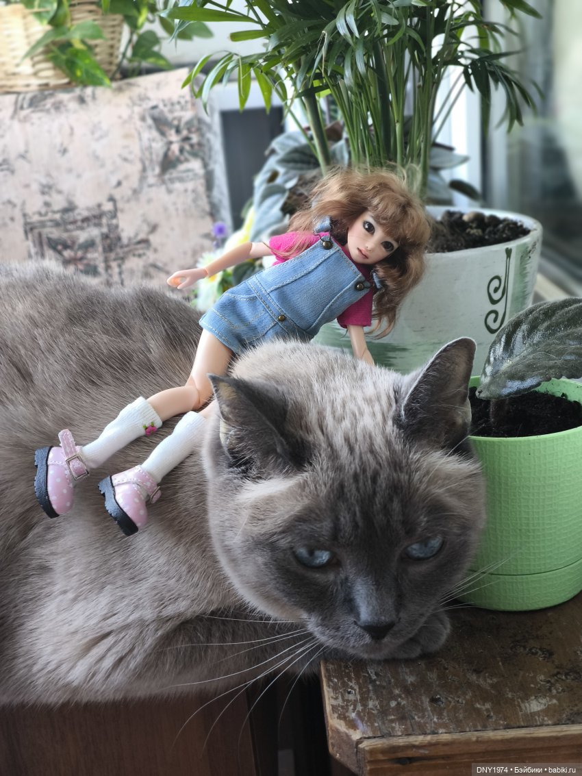 Утро начинается с котиков (фото 10)